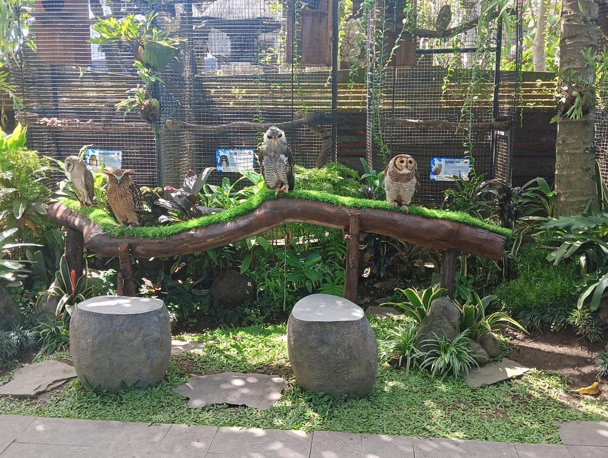 Liyer Spirit House Ubud Exterior foto